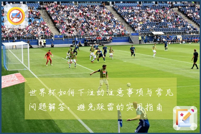 世界杯如何下注的注意事项与常见问题解答，避免踩雷的实用指南