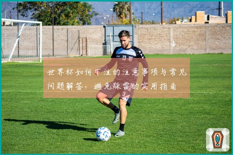 世界杯如何下注的注意事项与常见问题解答，避免踩雷的实用指南