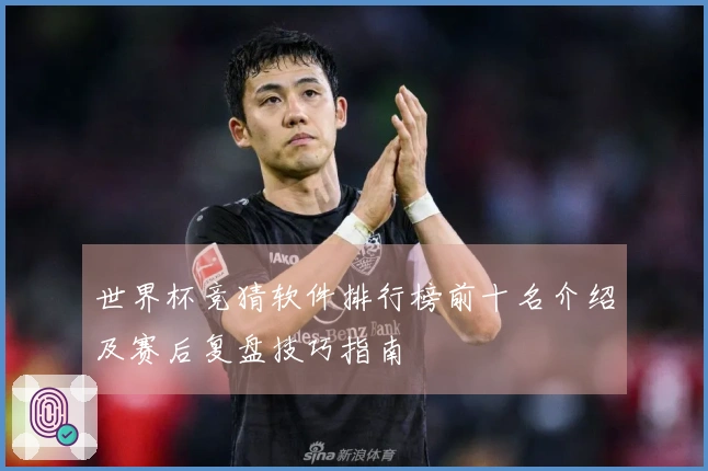 世界杯竞猜软件排行榜前十名介绍及赛后复盘技巧指南